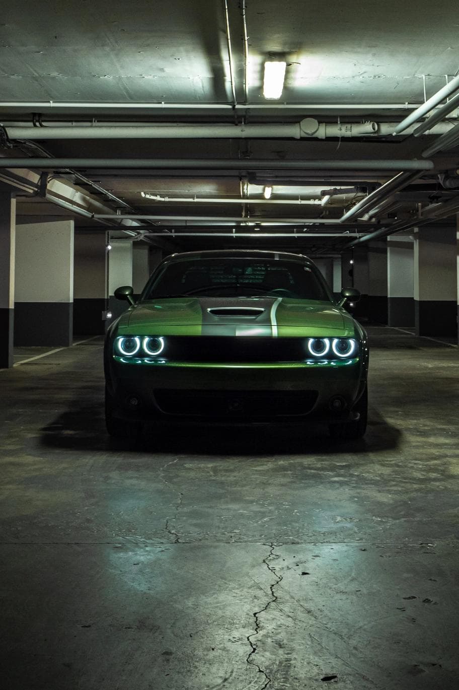 Dodge Challenger Photo face Dodge Challenger Photo face